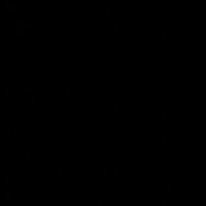 Meet your Posher, Lizbeth